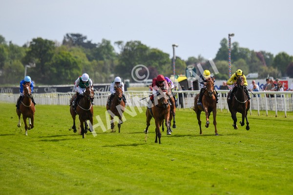 170523-Race 4-Soul Sister-0562 - Race 4 3.35pm Tattersalls Musidora Stakes