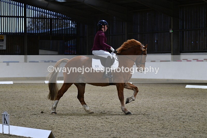 WJ5_8617 - Class 5 Novice Test 3