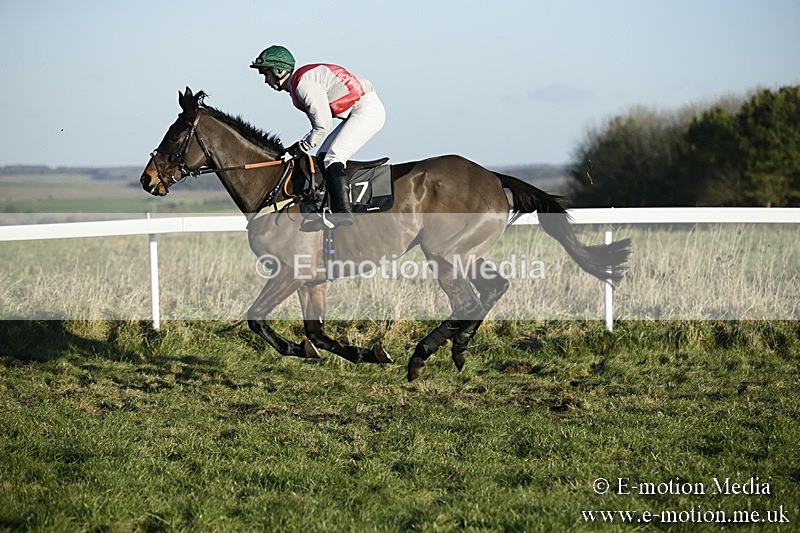 PtP 070118 -500 - Larkhill Racing Club Point to Point Larkhill 07/01/2018