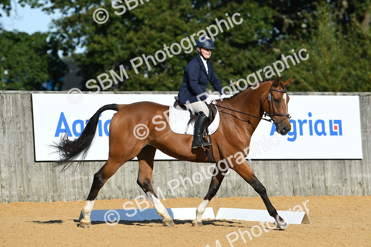 SBM_16226 - D4 - Small Tour Championship - Intro B