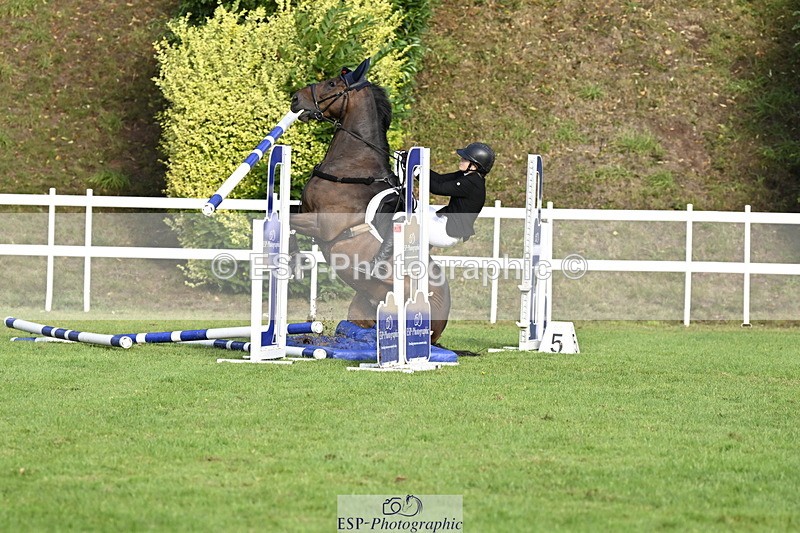 250831A-084152-09040 - Cls 34 Snr Foxhunter
