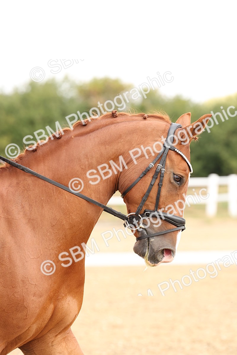 SBM_005421