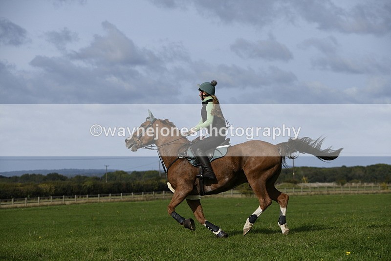 _DSC5836 - Time 10:49 to 11:23