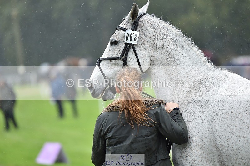 231018-121238-00139 - 063-TOMGAR.GRACE-Annie.Smith-TrotUp