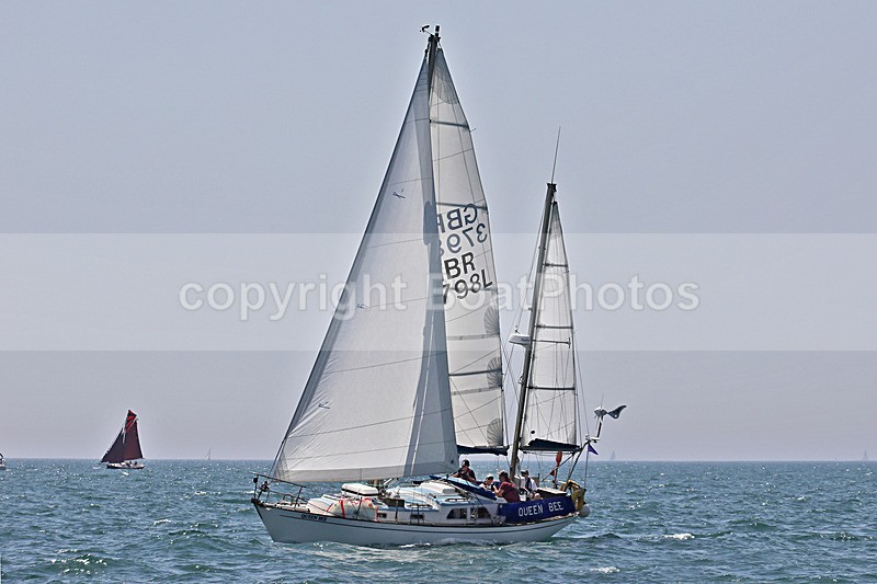 190629 QUEEN BEE GBR3897L D43A4815 - 190629 QUEEN BEE GBR3897L