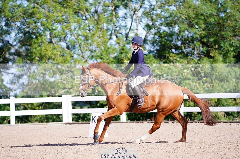 240809A-090436-00142 - Dressage Competition