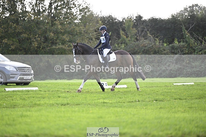 241025-120436-07009 - 374-Bella.Balian-BEECHWOOD.JOEY