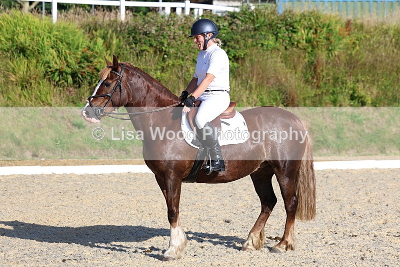 3E7A3695 - Class 2: Intro 1 2024 Section B