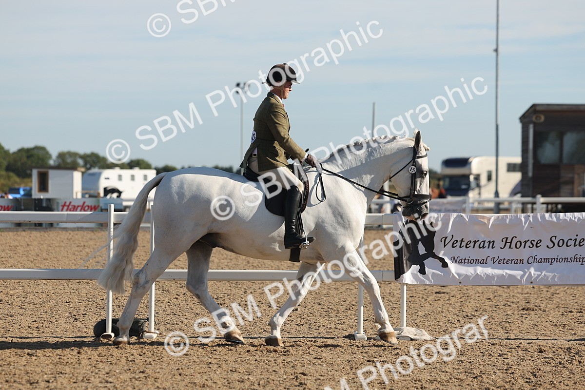 SBM_12161 - Class 303 - Ridden Pure Bred Horse Pony