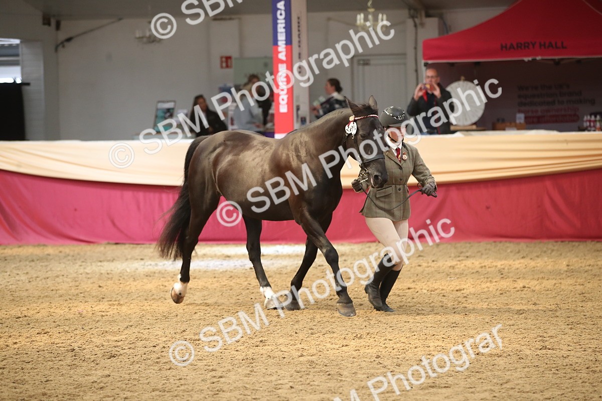 SBM_05332 - Class 8R - Regional IH Veteran