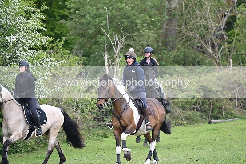 WJ6_2823 - A Camera