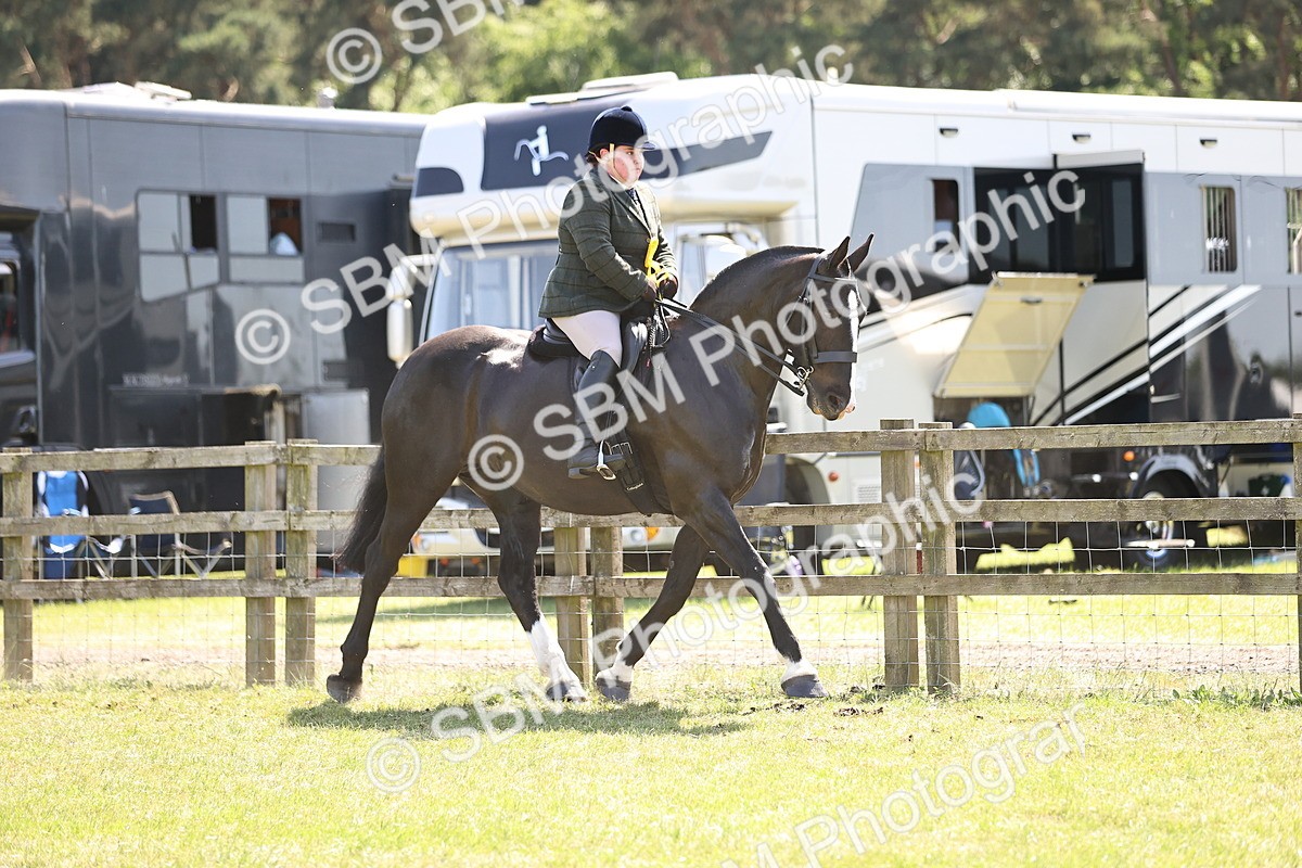 SBM_17960 - Class 81-83 - TSR Ridden Amateur of the Year - Horses
