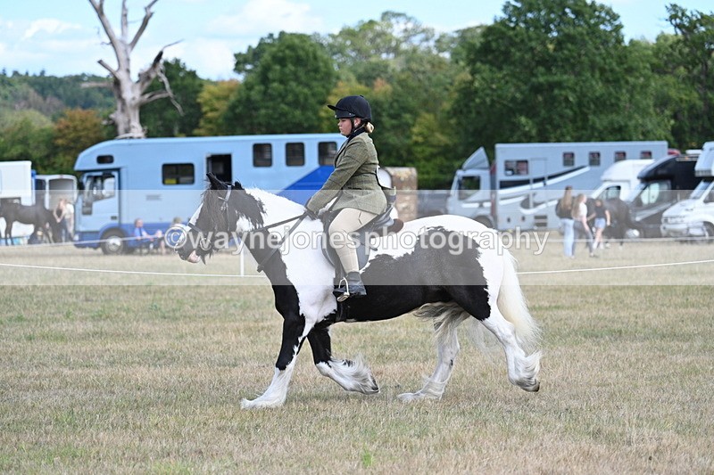 WJ7_6923 - Class 14 Ridden Coloured