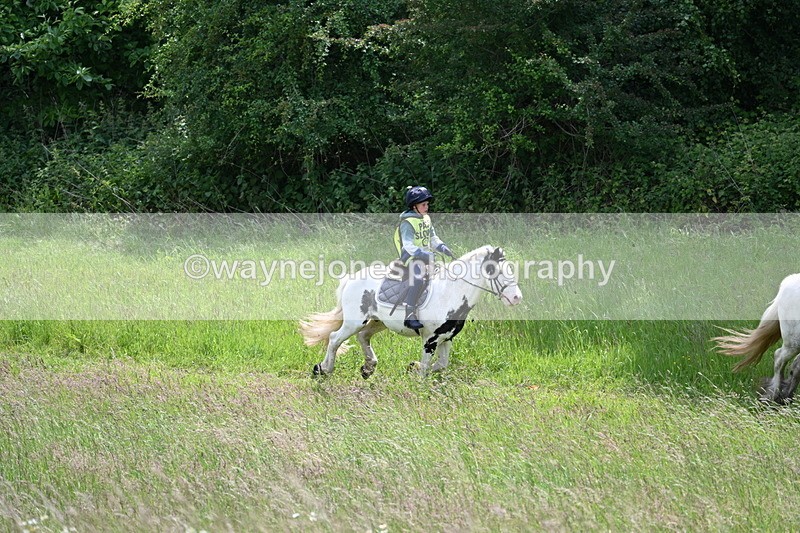 WJ7_8777 - Group 4 11am