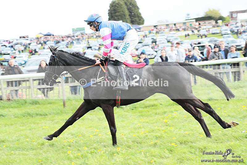 PtP 180426 534 - Worcestershire Hunt PtP Chaddesley Corbett 18/04/26