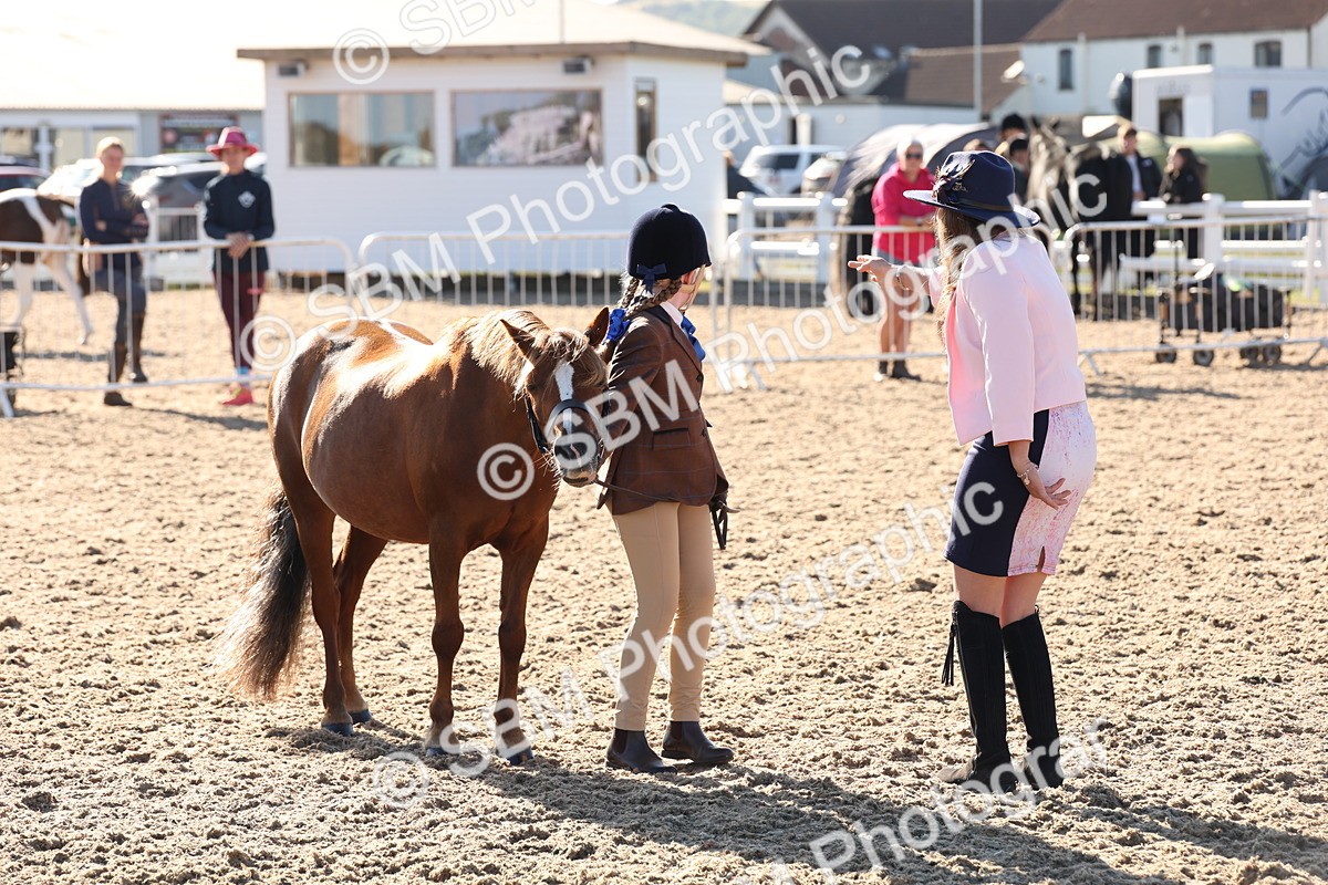 SBM_11667 - Class 203 - Young Handler 11 to 16 years
