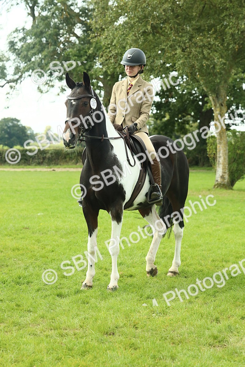 SBM_66474 - S34 - Rehabilitated Rescue Horse & Pony In Hand & Ridden