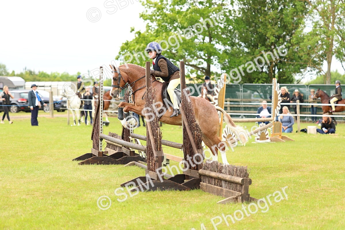 SBM_10270 - Class 44-45 - LIHS BSPS Open Nursery and Cradle Stakes