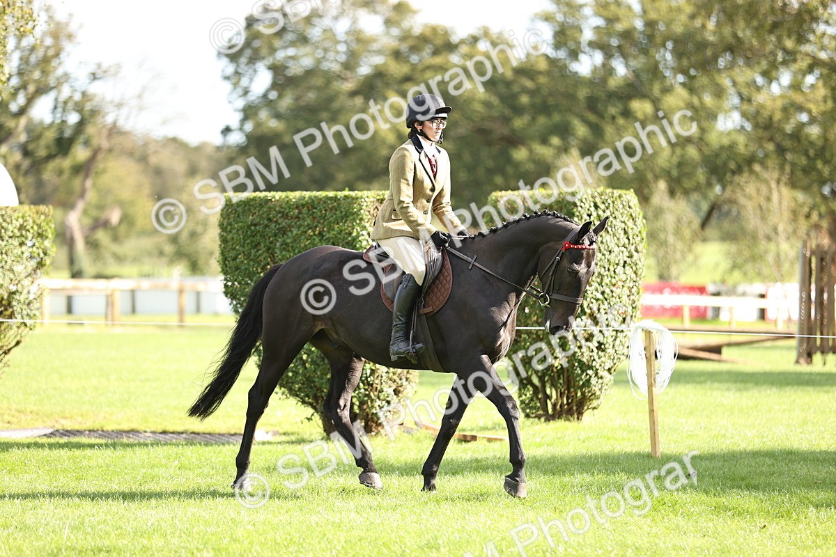 SBM_26351 - S6 - Novice & Newcomers Ridden Horse