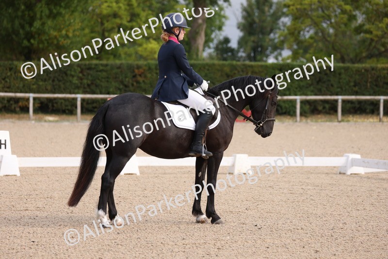 20250819-0818 - Class 1 - Intro 1