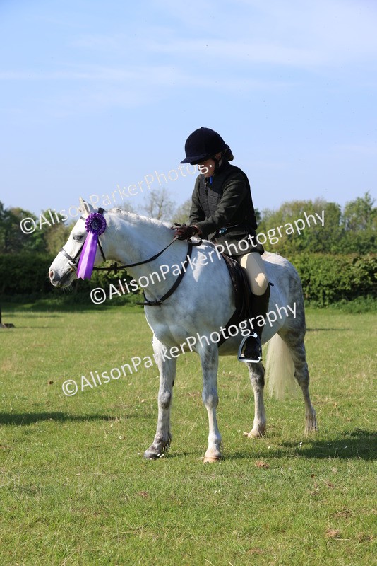 20250427-0594 - Class 17 - Novice Showing