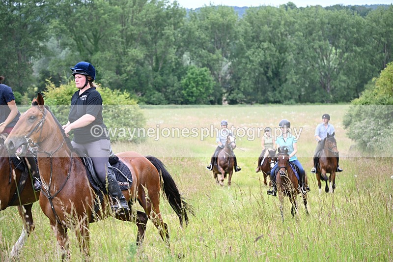 WJ6_8432 - Camera 1 Gallops