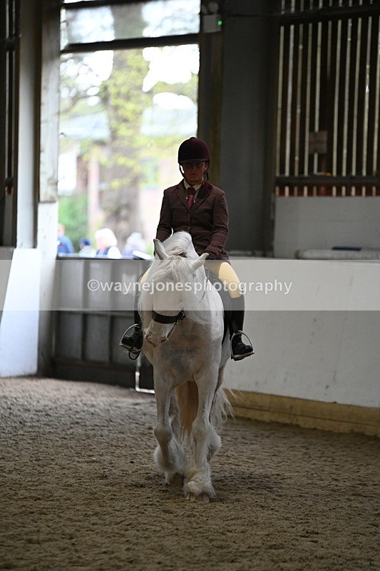 WJ7_4168 - Class 17 Ridden Cob