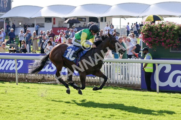 yr08102021r2-13 - Race 2 2.40pm Racing to School EBF Novice Stakes