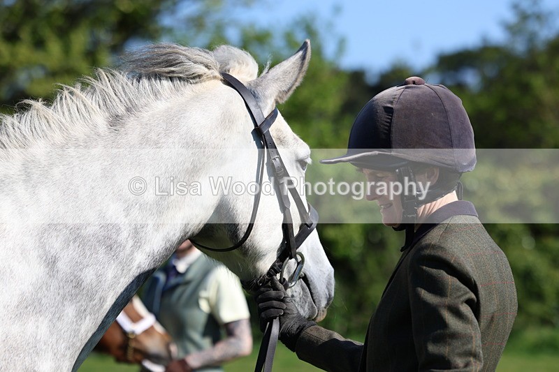 3E7A8676 - Class 13: M & M Large Breeds