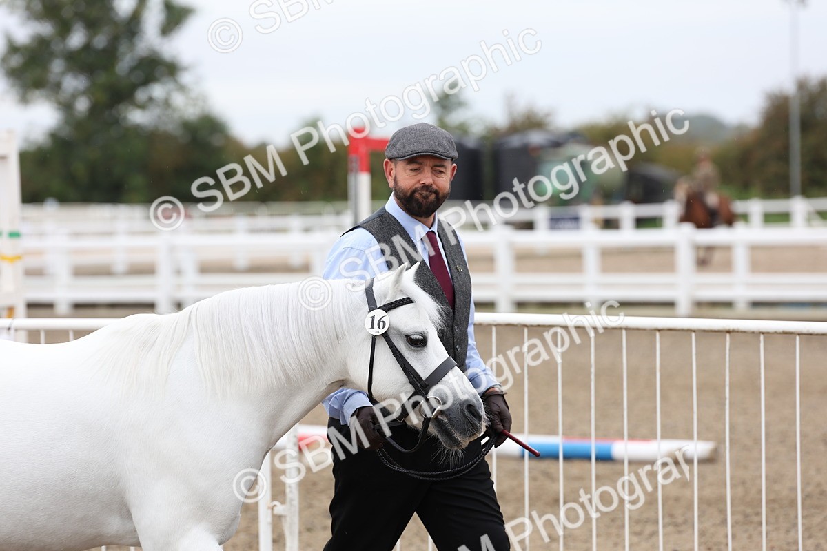 SBM_00014 - Class 50 - Best Turned Out IH