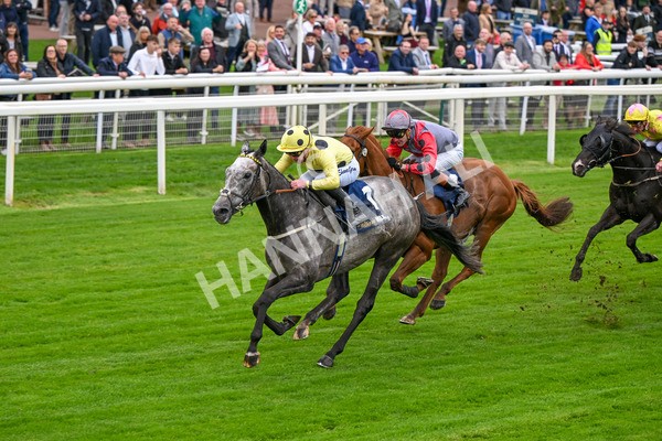 101025-Race 1-Ice Max-6203 - Race 1 William Hill Autumn Mile Handicap at York