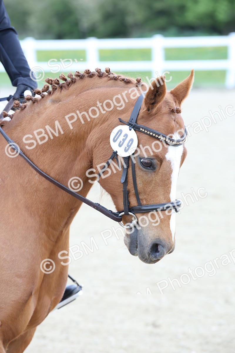 SBM_006352 - Class 1-3 - Intro 1 Lead Rein-Intro 4