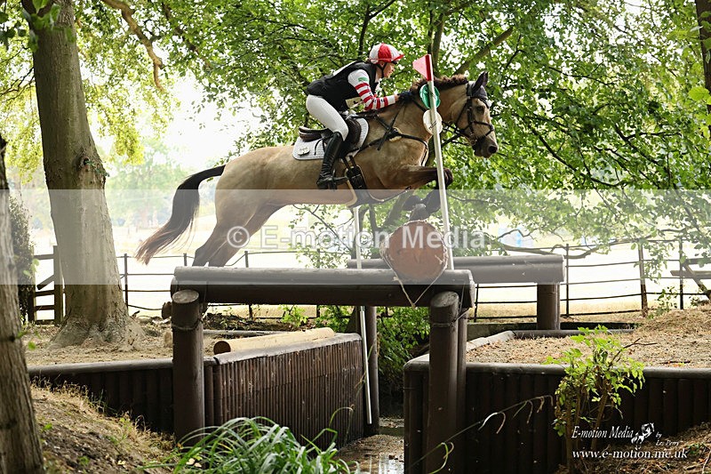 BEXC 010826 1738a - Equestrian