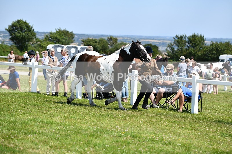 DSC_7614 - Class 64: Coloured Pony 4yrs & over