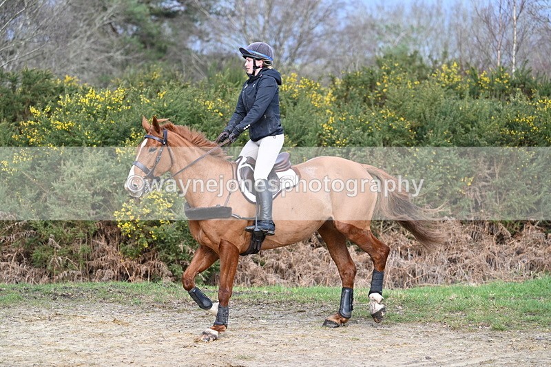 WJ7_8589 - Time 11:41 to 12:16