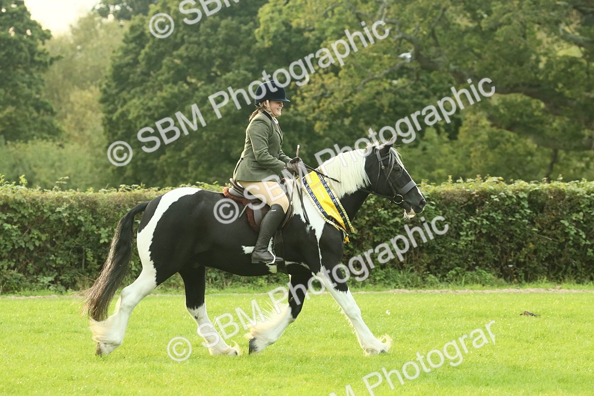 SBM_75334 - Super Supreme Championship