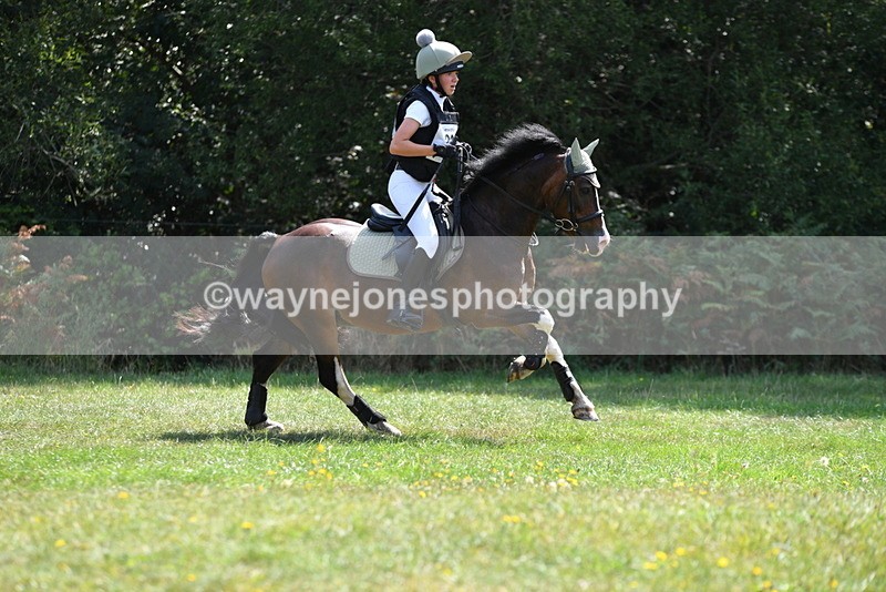 WJ5_2760 - XC Time 11:51 to 12:26