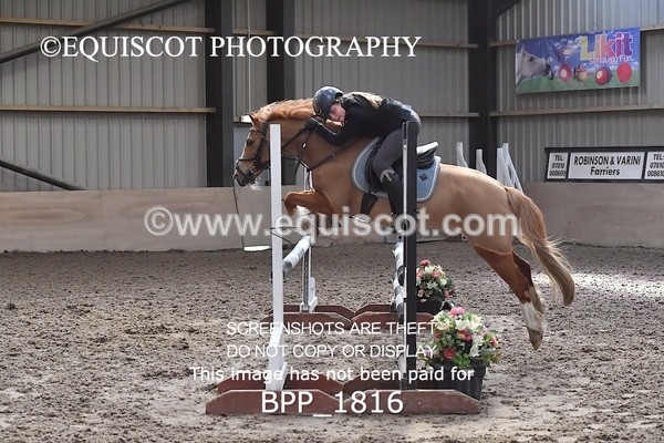 BPP_1816 - CLASS 8  Pony British Novice / 0.80m Open