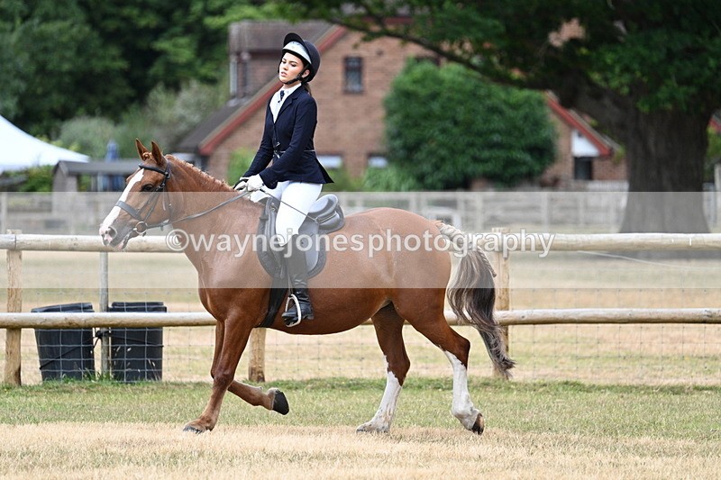 WJ7_0543 - Class 2 Best rider