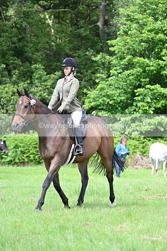 WJ7_1278 - Class 11 Condition & Turnout