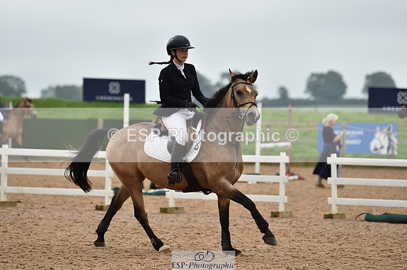 230902A-113444-00755 - Cls 2B Pony Small 80cm