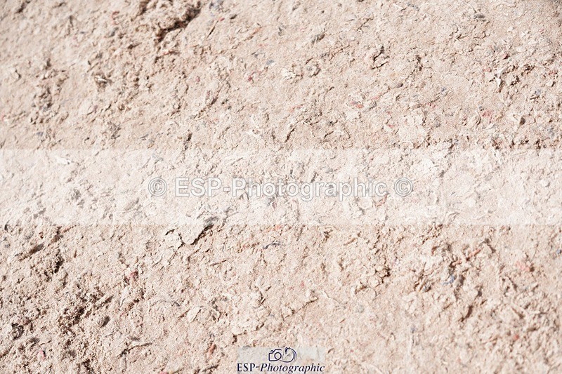 250525-105836-09193 - Cls 32 A&B Snr Brit Nov & 90cm Open