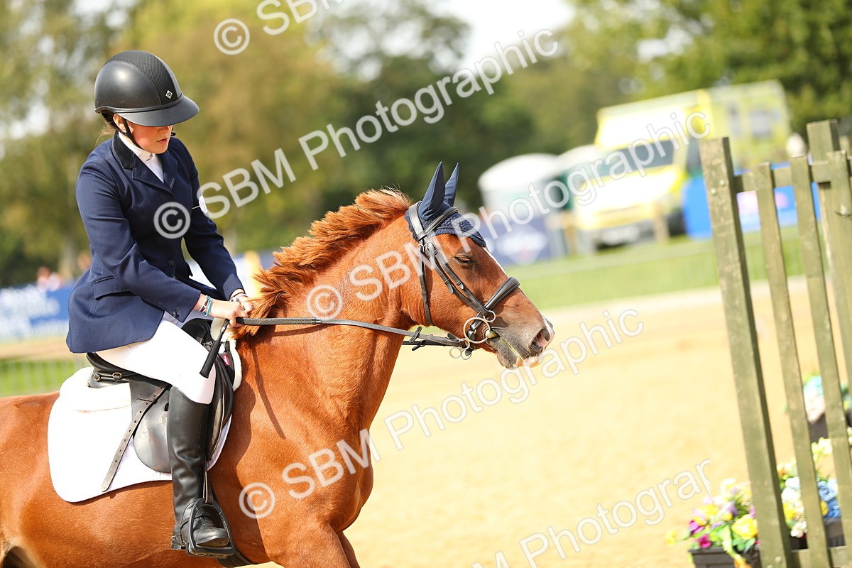 SBM_66147 - J17 - Junior Pony 80cm Championship