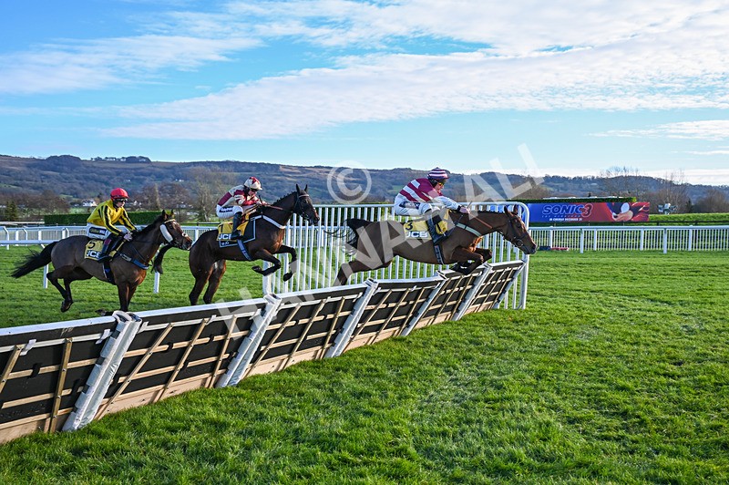 141224-Race 1-Moutarde-0328 - Race 1