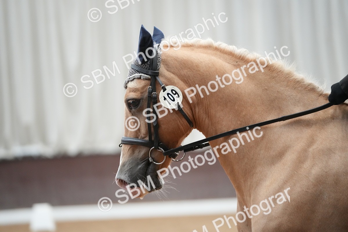 DSC09034 - Class 14 - FSM Champs