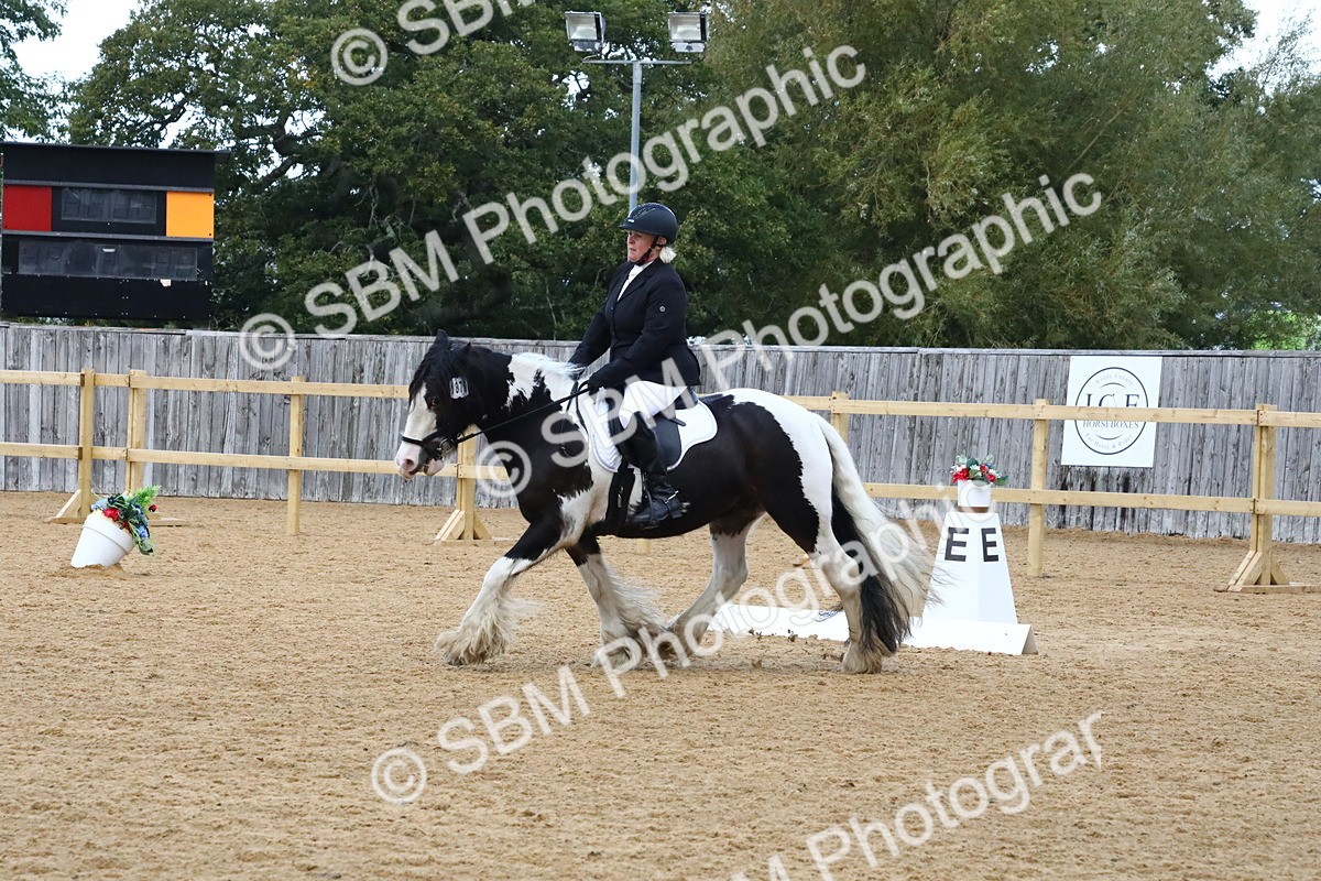 SBM_21033 - D5 - Small Tour Championshop Intro 2