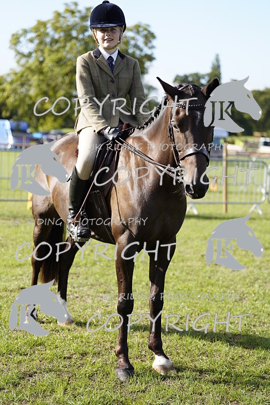 _DSC9553 - Class 8 & 17 Ridden Hunter & Ridden Hunter Pony