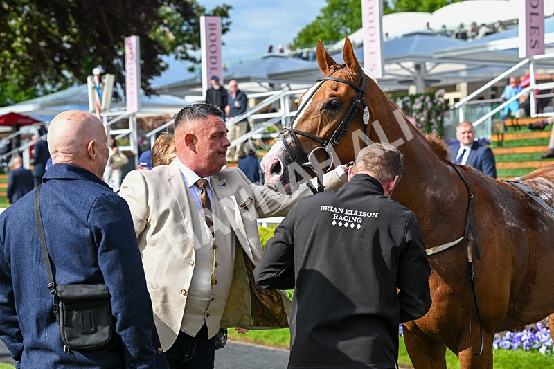 150526-Race 6-Fortification-8566 - Race 6 4.40pm Irish Thoroughbred Marketing Handicap