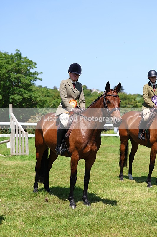 3E7A7424 - Class 30: Novice Working Hunter