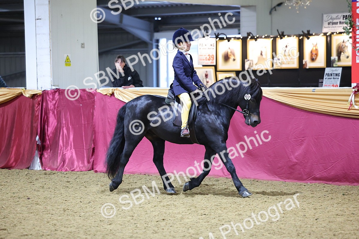 SBM_18996 - Class G Ridden Pony Champ